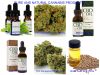 CBD Oil and Seed