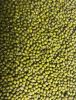 Certified 100% Pure Green Mung Beans For Sale