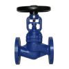 WC/SS/Cast iron bellows sealed flange globe valves