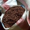 cocoa beans