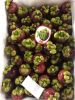 Sell Fresh Mangosteen Fruit