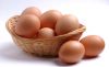 Fresh Chicken Table Eggs/Fresh Chicken Hatching EGGS at good prices