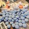 Pain Killers Pills anax roxy