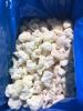 IQF Frozen Cauliflower