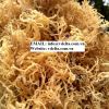 IRISH SEAWEED HIGH QUALITY