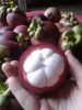 Fresh Mangosteen fruit