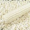 Non GMO White maize/corn