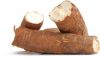 New crop Cassava/ fresh farm cassava..