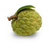 Fresh Custard Apple / Sugar Apple