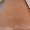 SELL OKOUME PLYWOOD