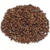 Grains of Paradise , Affordable Grains of Paradise, Quality Grains of Paradise