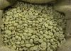 supply green bean coffee