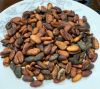 Sell offer for Cocoa Beans