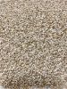 Sell offer on White Sesame Seeds