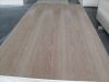 Sell oak fancy plywood