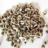 High Quality Nigerian Moringa Seeds