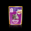 Whiskas Pet Food for Cat