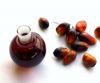 Palm Kernel Oil , Oil Palm Products