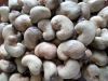 Dry Cashew Nuts , Pistachios Nuts , Peanuts