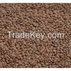 Sell Canadian Whole Red Lentil and yellow pea