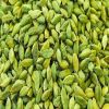 Grade A High Quality Guatemala Green Cardamom/Dried Cardamom for export to Saudi Arabia, India, UK, etc