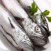 Quality Hake Fish And Frozen Fish Fillet