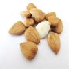 cheap apricot kernels