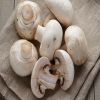 Frozen Fresh Farm Mushrooms for sale