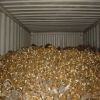 Brass 100% Discount Sales Pure Brass Honey Honey Scrap Ready for Export Universal 99.98%High Quality Honey wide deli brass scrap