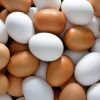 Fresh Chicken Brown & White Table Eggs