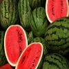 Sweet water melon Fruit