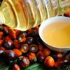 Refined Palm Oil - RBD Palm Olein, Used Cooking Oil, Palm