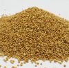 Dried Millet , Hulled Red Millet, Yellow White Mille