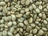 Robusta Coffee Beans