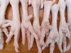 Bulk  Frozen Chicken Feet / Chicken Paws For Sale