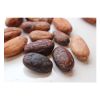 COCOA BEANS