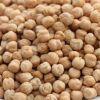 KABULI CHICKPEA