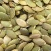 Pumpkin Seed Kernels