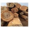 Timber Logs / Wood Teak Wood / Oak Wood Logs