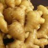 Wholesale Fresh Ginger for sale