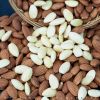 100% organic Almond Nuts Exports Available