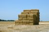 High Quality Animal Feed Alfalfa Hay