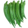 Okra