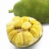 fresh jackfruit