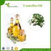 Cold Press Camellia Oleifera Seed Oil For Cooking Oil / Skin Care