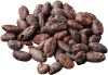 Quality Dried Cacao Beans