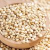 top quality Quinoa grains / Top Quality high protein Black Quinoa