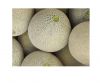 Fresh Muskmelon