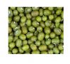 Green Mung Beans