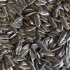 Sunflower Seeds